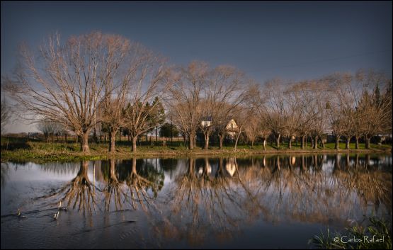 Foto 2/el rio