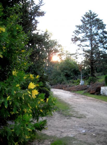 Foto 1/Caminos y senderos