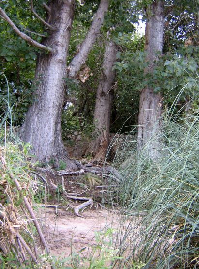 Foto 4/Caminos y senderos