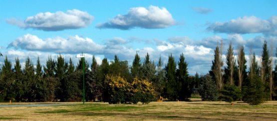 Foto 5/los troncos secos le dicen al  alma.....