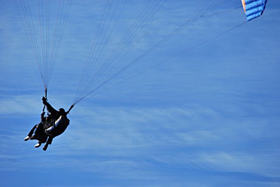 Foto 5/volar es para los pjaros?