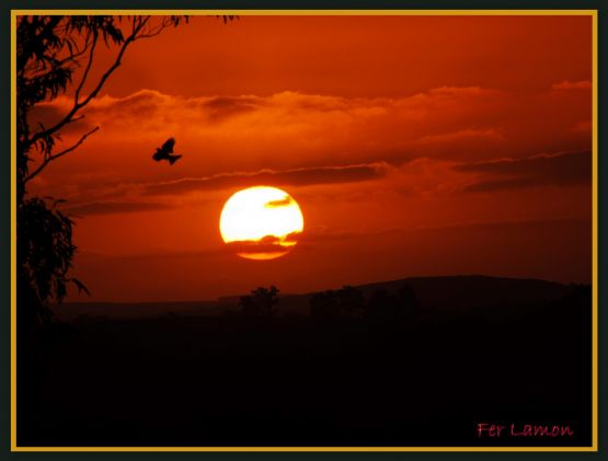 Foto 4/Atardeceres en la ciudad de Tandil