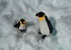 Pingus el la nieve-serie-