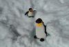 Pingus el la nieve-serie-