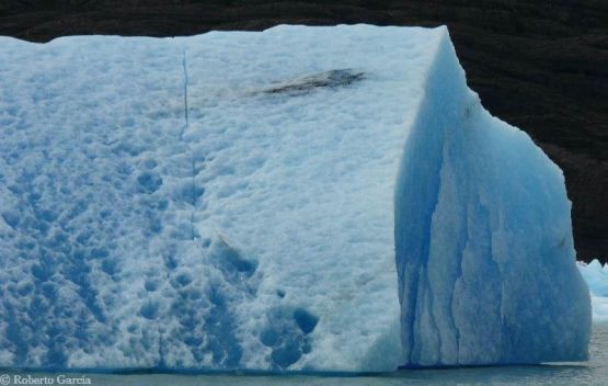 Foto 4/Cuidemos los Glaciares