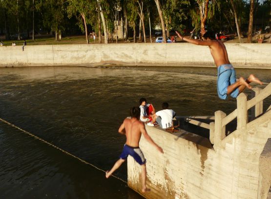 Foto 1/zambullidas