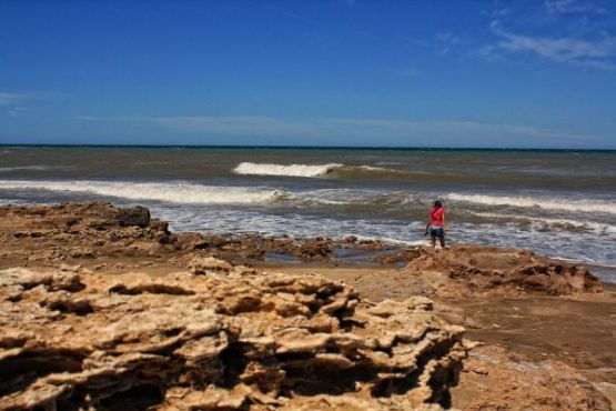 Foto 1/Las olas, la nia y el perro y....