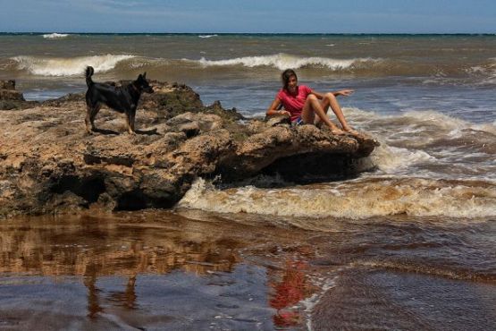 Foto 2/Las olas, la nia y el perro y....