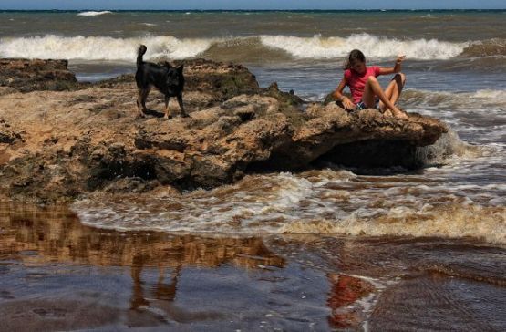 Foto 3/Las olas, la nia y el perro y....