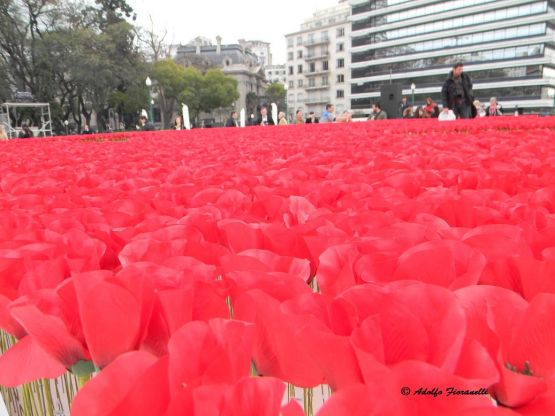 Foto 2/Kenzo - Amapolas en Plaza San Martin