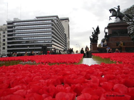 Foto 3/Kenzo - Amapolas en Plaza San Martin