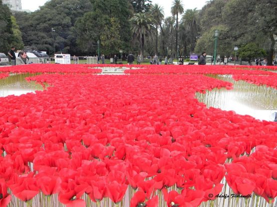 Foto 5/Kenzo - Amapolas en Plaza San Martin