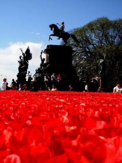 Foto 2/amapolas en Plaza San Martin La serie