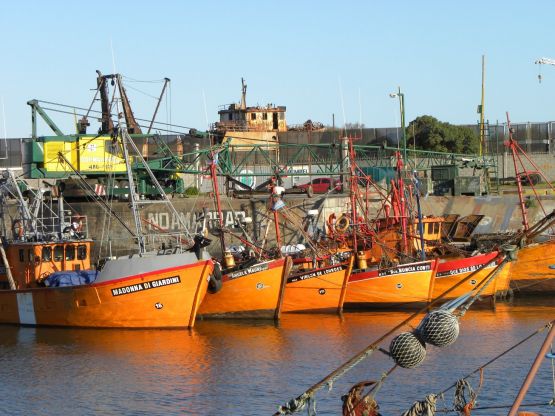 Foto 3/BANQUINA DE PESCADORES