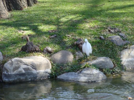 Foto 1/un oasis en buenos aires