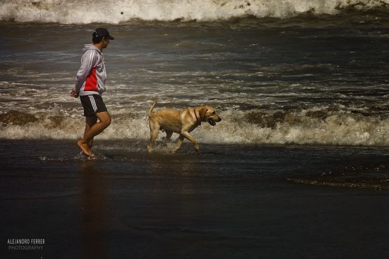 Foto 4/Perro y Mar