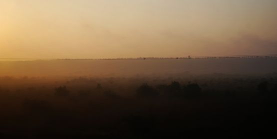 Foto 1/Niebla al amanecer