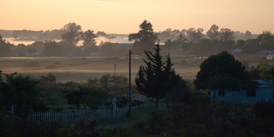 Foto 3/Niebla al amanecer