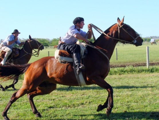 Foto 1/nuestras pasiones