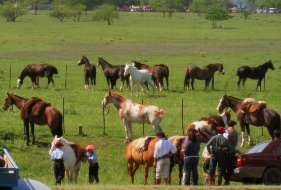 Foto 4/tradicion