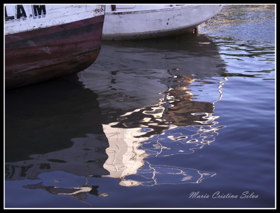 Foto 4/Puerto de frutos 1