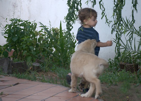 Foto 1/Juego de infantes