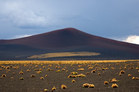 Foto 3/La Payunia