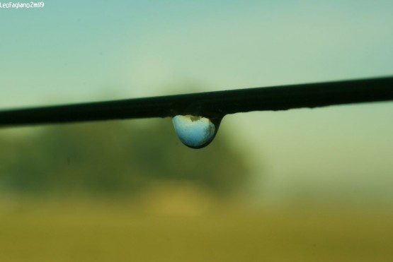 Foto 1/Paisajes Capturados en una gota de agua