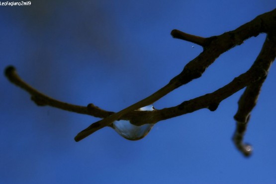 Foto 4/Paisajes Capturados en una gota de agua