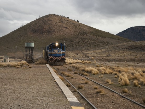 Foto 1/Tren patagnico: soledad que viene y va