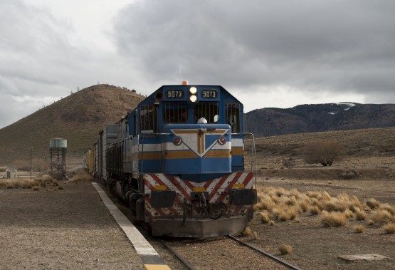 Foto 2/Tren patagnico: soledad que viene y va