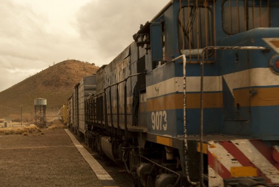 Foto 3/Tren patagnico: soledad que viene y va