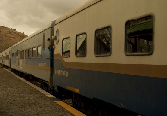 Foto 4/Tren patagnico: soledad que viene y va
