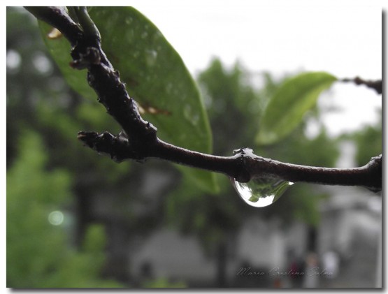 Foto 1/Lluvia del 25