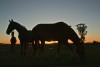 Atardecer en los pagos de Areco