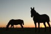 Atardecer en los pagos de Areco