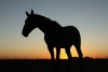 Atardecer en los pagos de Areco