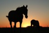 Atardecer en los pagos de Areco