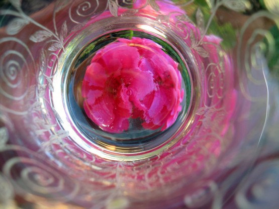 Foto 2/Flores dentro de una copa