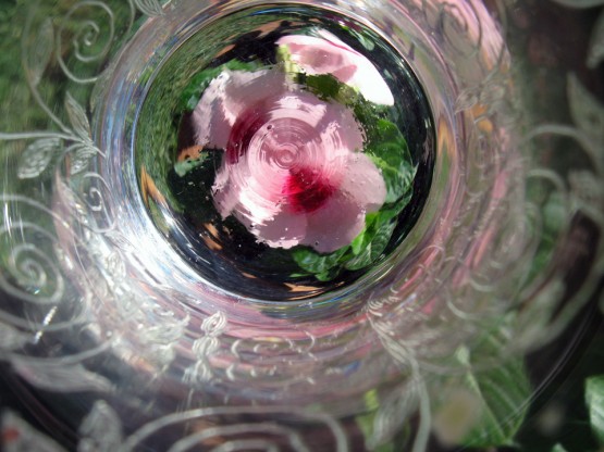 Foto 3/Flores dentro de una copa