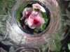 Flores dentro de una copa