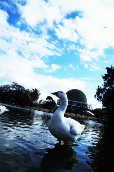 Foto 5/El lago central del Parque Centenario