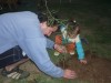 Plantando el Algarrobito