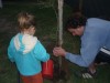 Plantando el Algarrobito