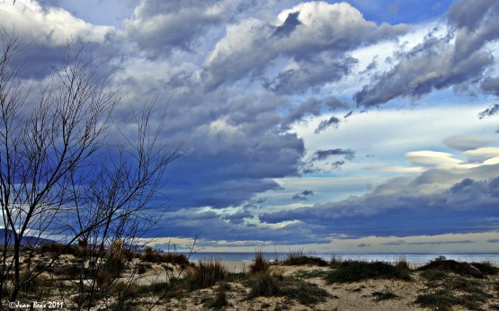 Foto 1/Arena, mar y nubes