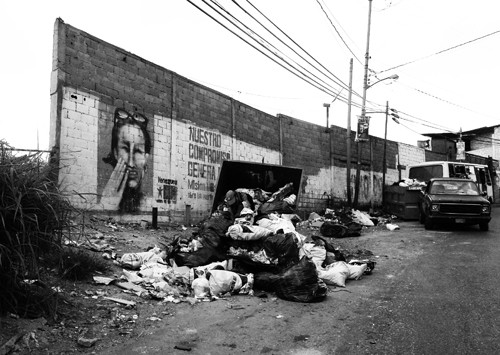 Foto 1/En mi Basura