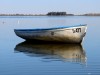 botes y reflejos