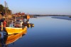 botes y reflejos