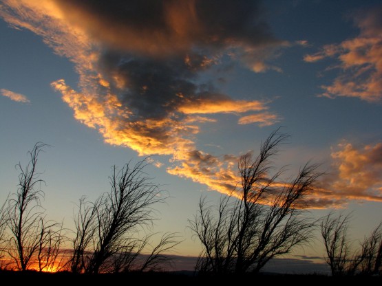 Foto 1/CIELOS PATAGONICOS