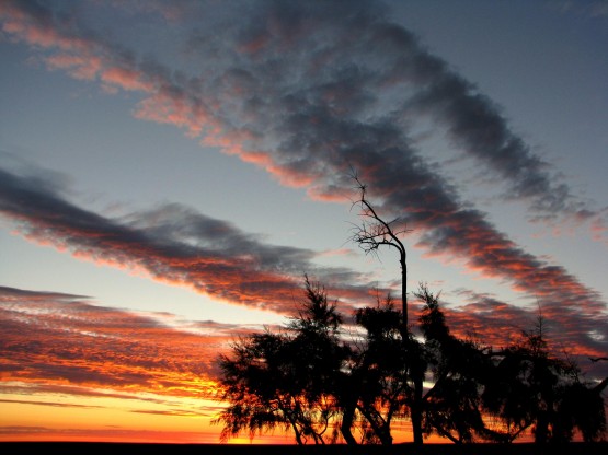 Foto 4/CIELOS PATAGONICOS